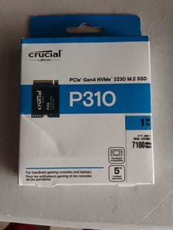 1tb SSD internal P310 PCle Gen4