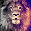 حنظلههه {FM}