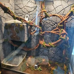 Custom Built Oak Reptile Enclosure – Large Habitat
