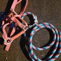 Horse Halter And Rope