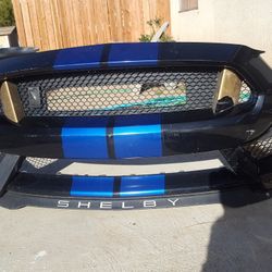Mustang Bumper 