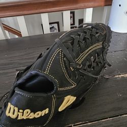 Wilson A950 Baseball Glove