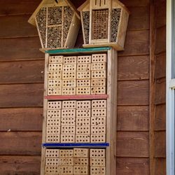 Mason bee pollinators with house kit