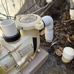 Pool Pumps 