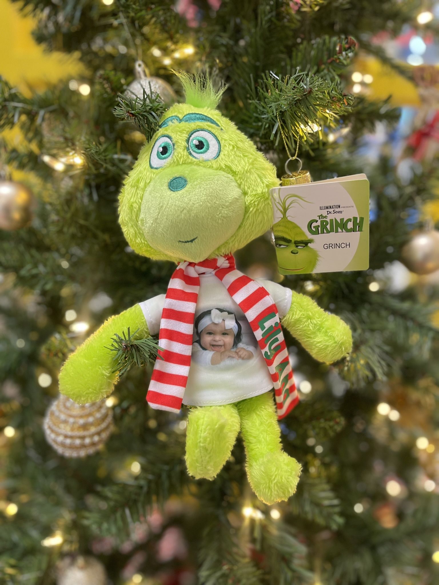 Grinch Plushie
