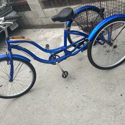 blue schwinn tricycle
