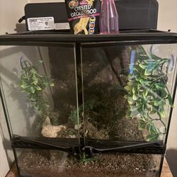 Crested Gecko Cage With Lights And Some Food 