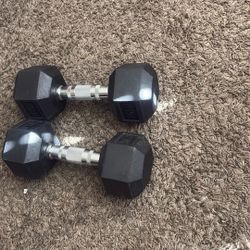 20 Pound Weights