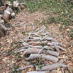 Free Firewood