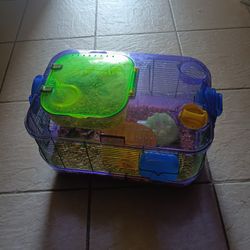 Hamster Box