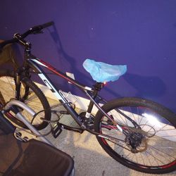 GT Girls 24 Speed Mountain Bike W/18 In.Frame, Disc Brakes, Very Good Condition And Hardly Ridden $150 Cash.