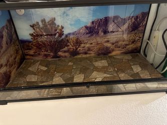 Terrarium