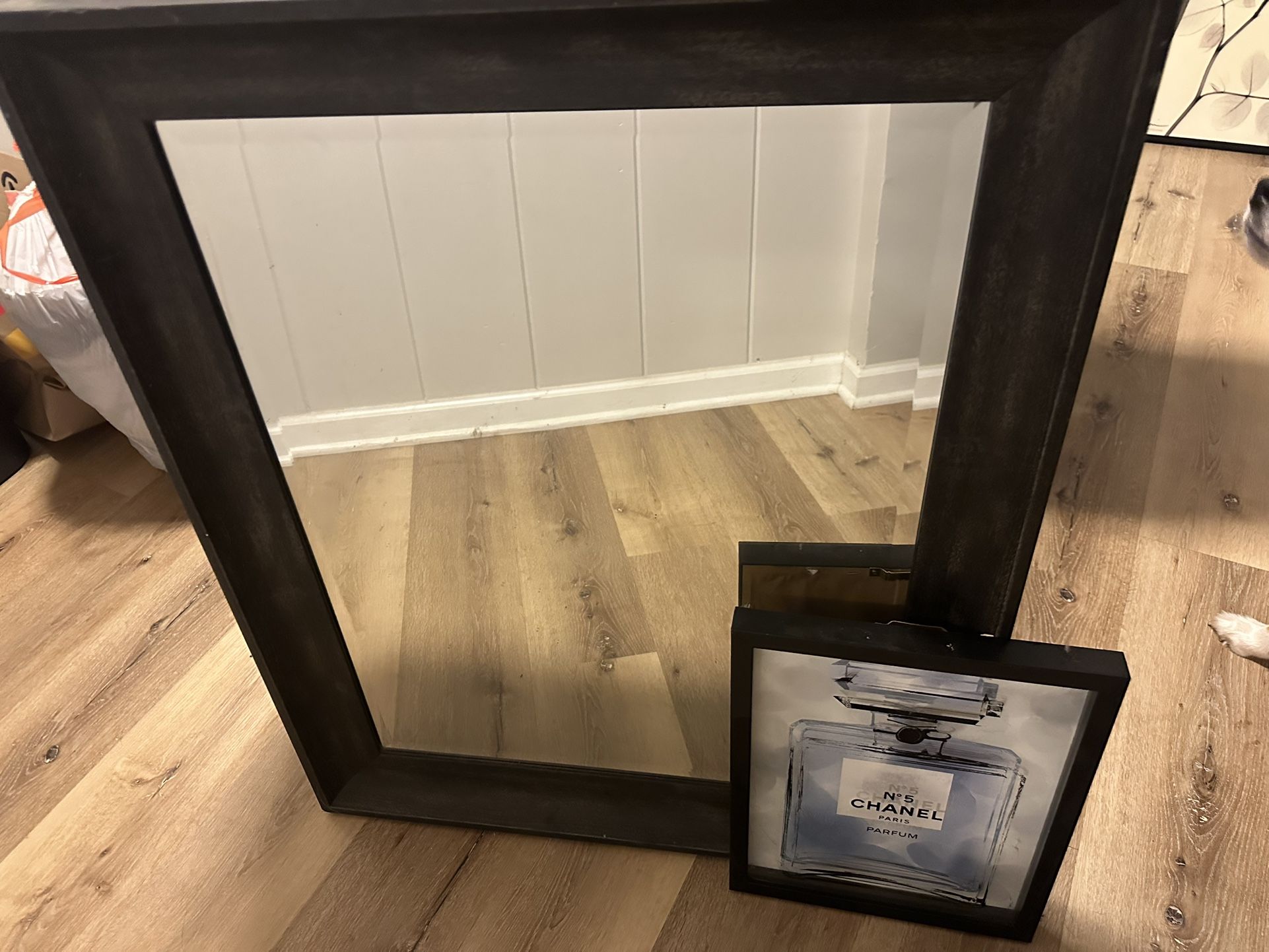Picture And Mirror