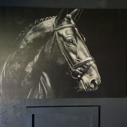 Horse Wall Art ( As Is ) (48x46)
