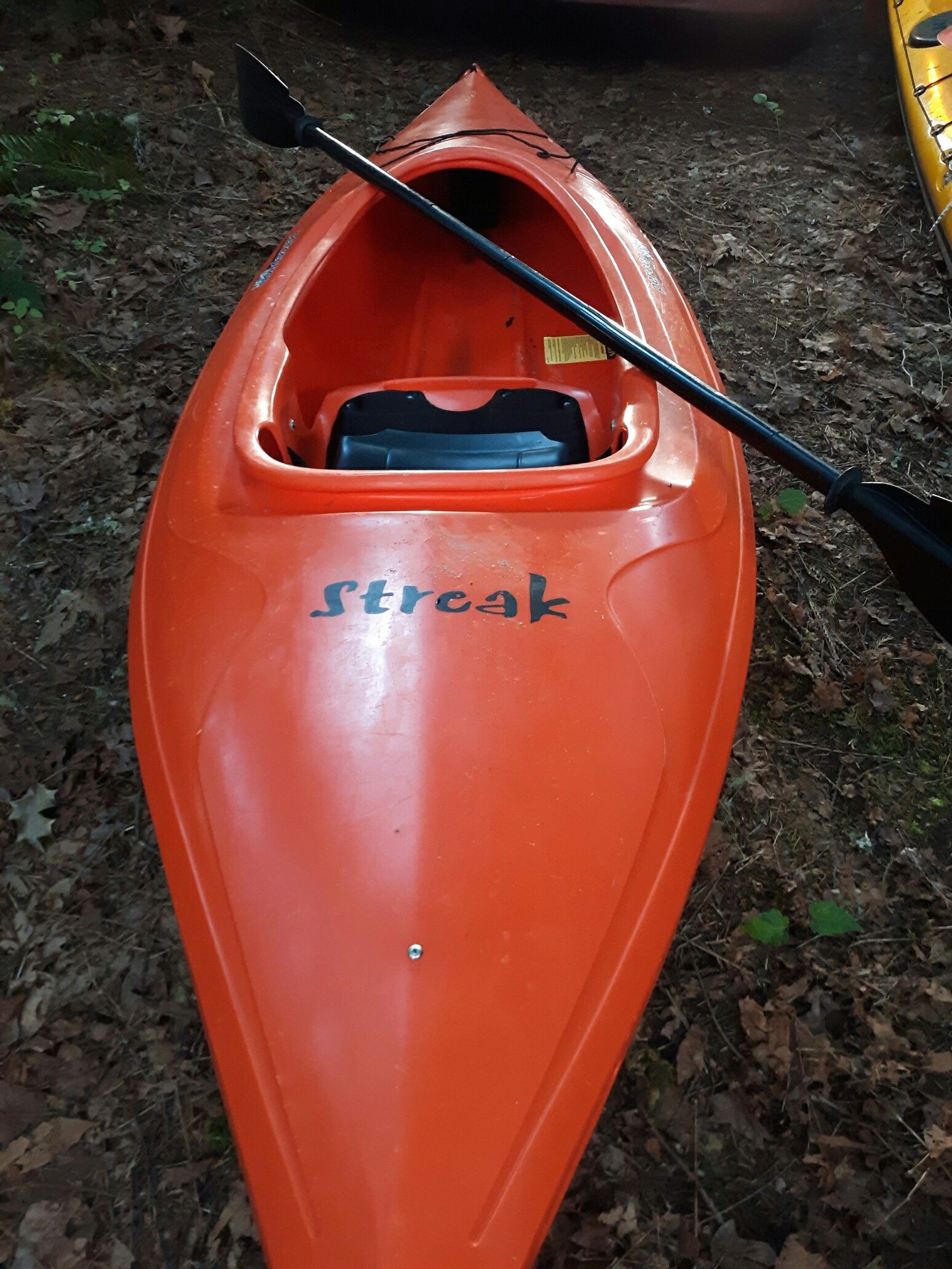 Perception Sport Streak 9.5" kayak