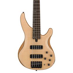 Yamaha TRBX604FM 5string bass