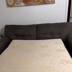 Full Size Sofa Sleeper