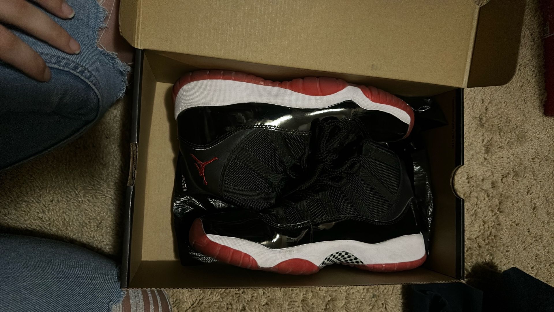 Jordan 11 breds 