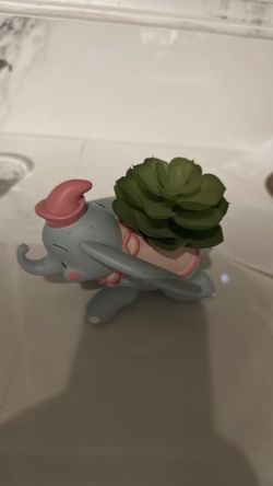 Dumbo Disney plant
