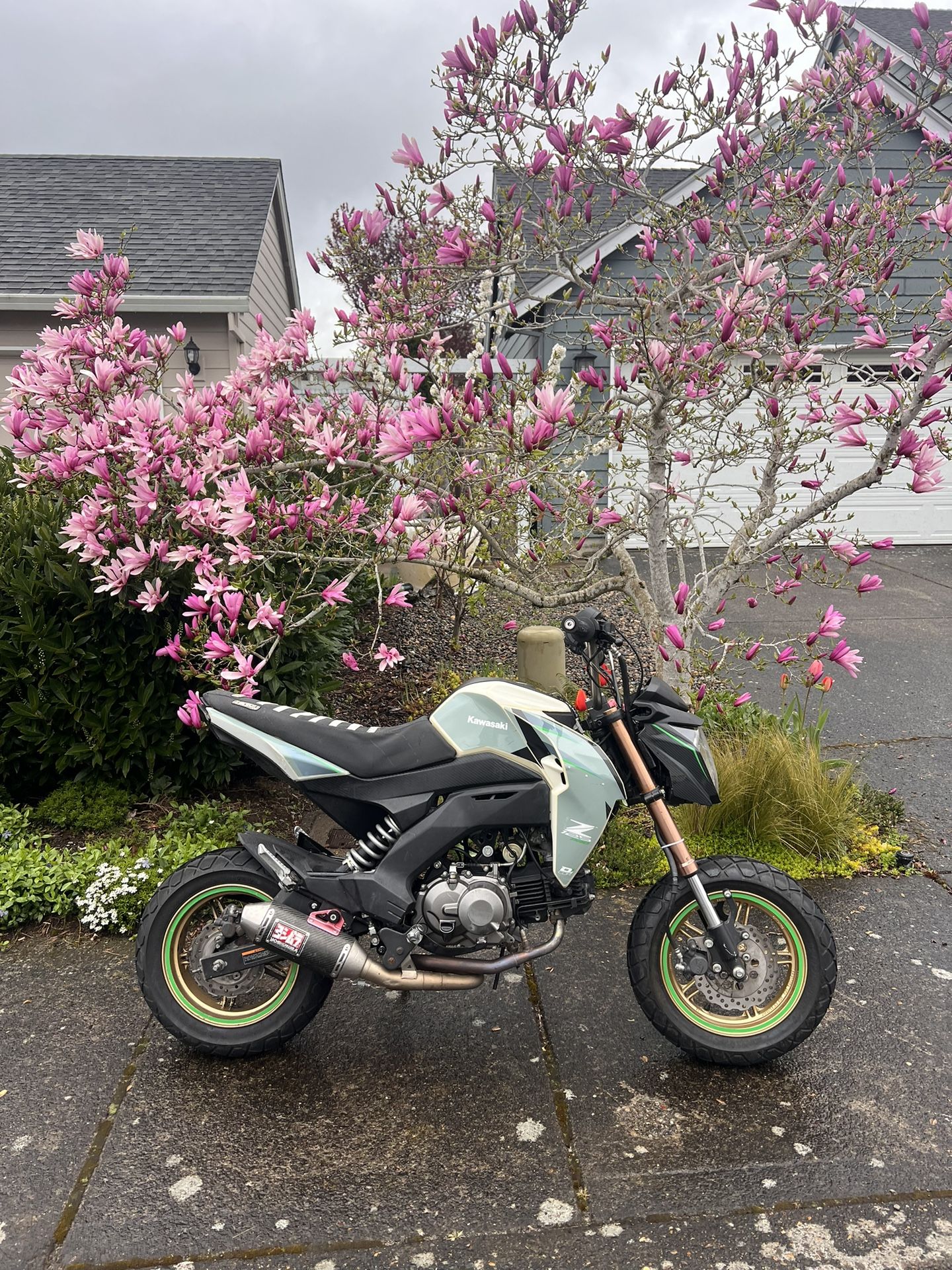 2018 Kawasaki Z125