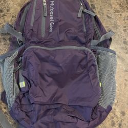 Purple Light Weight Backpack 