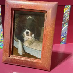 Gain Painted 4x 6 Photo Frame “strawberry Lemonade” 