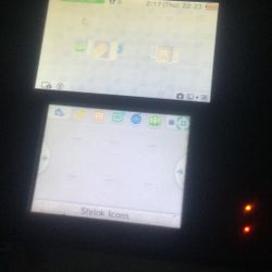 2DS