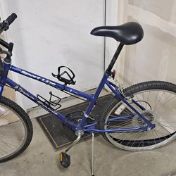 FREE Sportline Free Spirit Bike