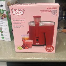 Mini juicer