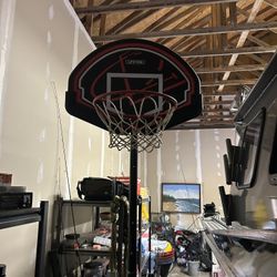 Lifetime Kids basketball Hoop