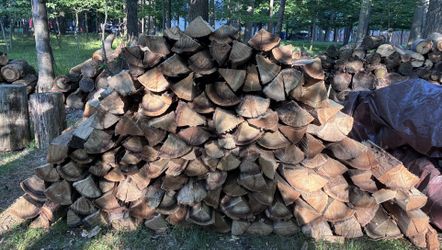 Split Seasoned Firewood