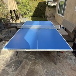 Ping Pong Table