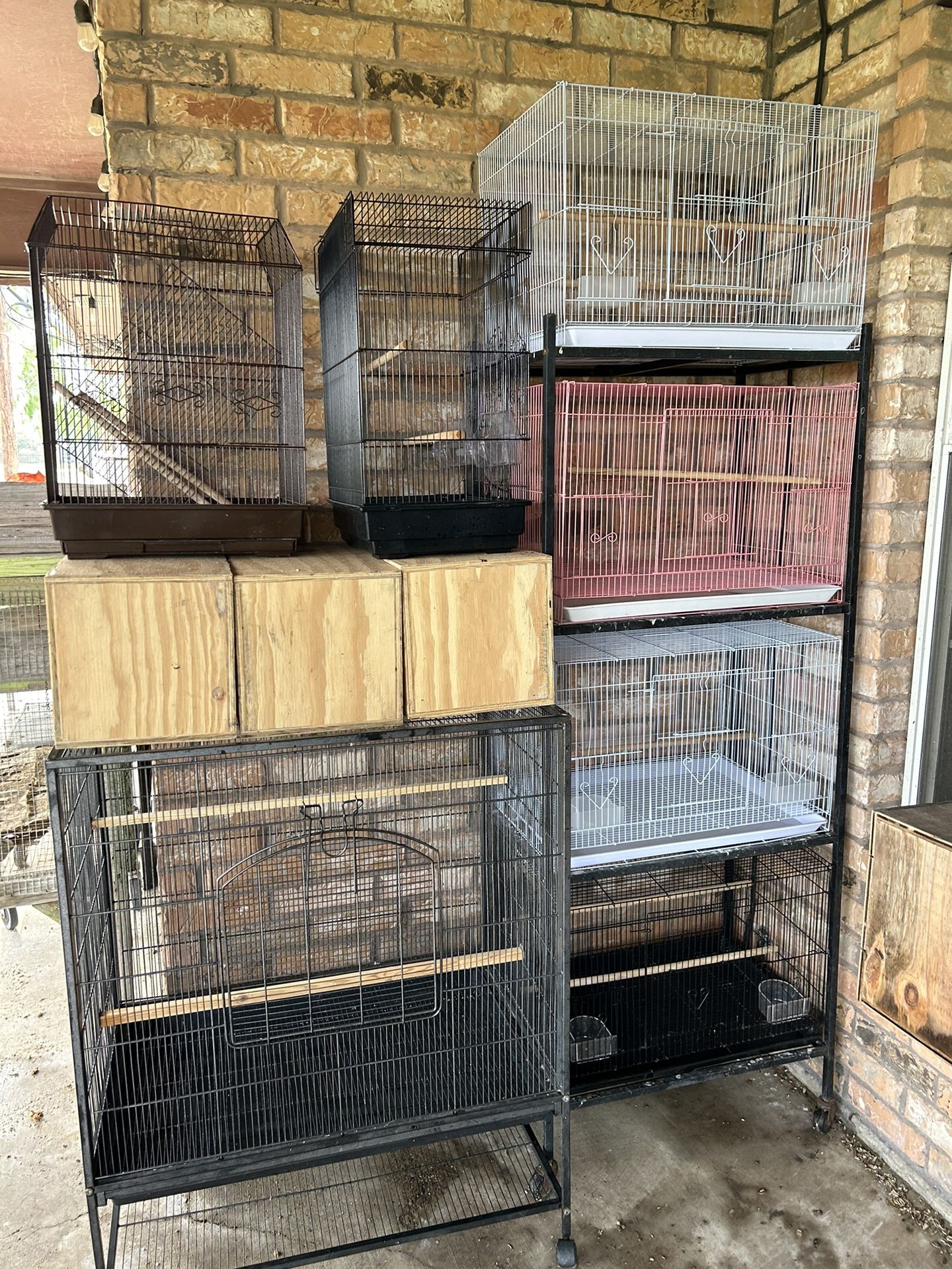 Bird Cages