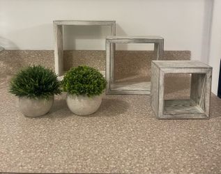 Three Shelves and two small plants