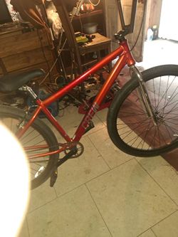 Crew 29 inch fit