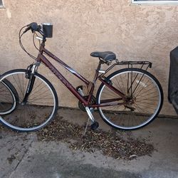 Bike With Cup Holder