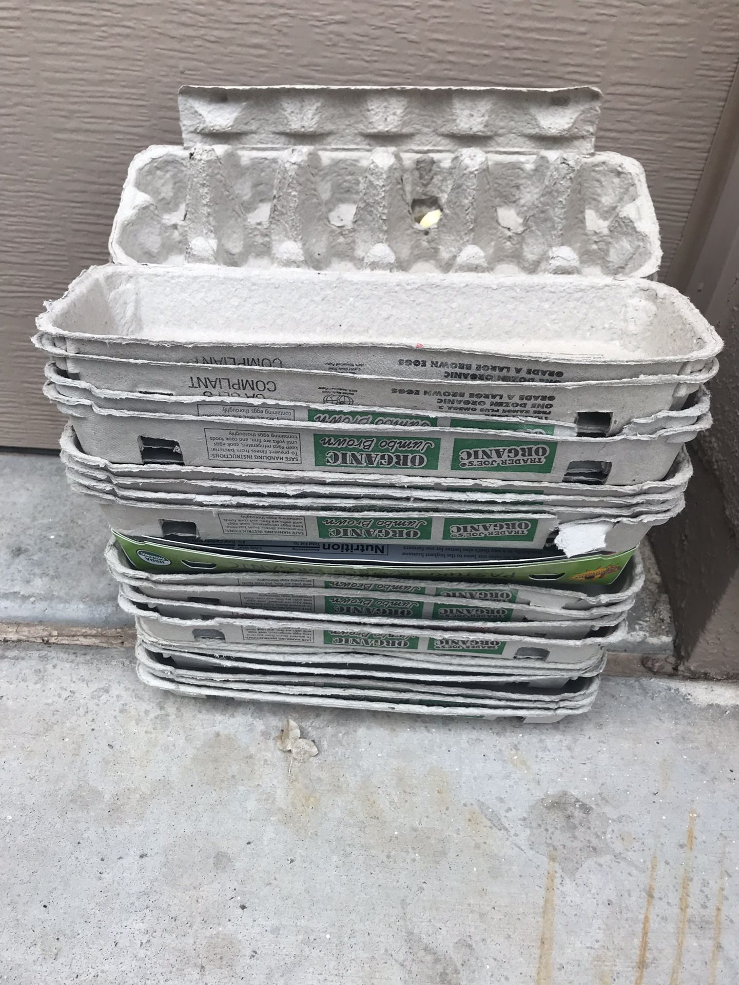 FREE EGG CARTONS