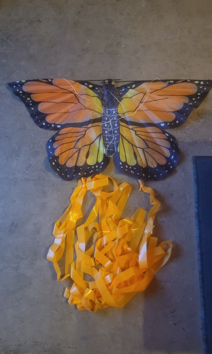Butterfly Kite With Kite Reeler Winder