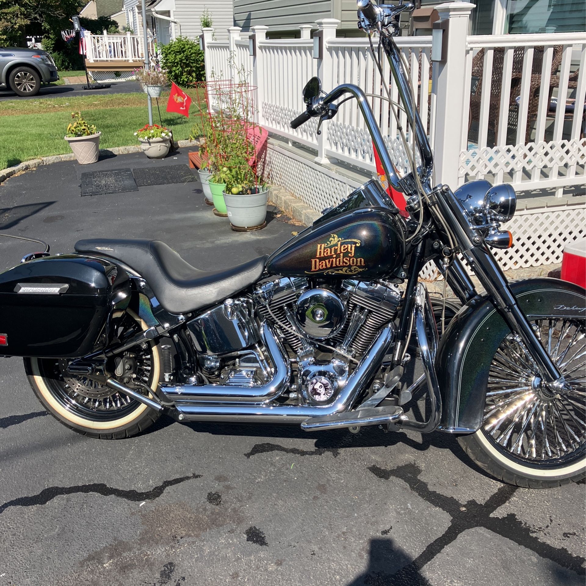 2005 customize deluxe Harley soft tail