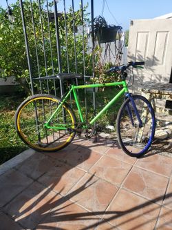 Sport