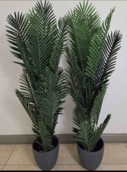 PAIR of 66" Faux Areca Palms in 12" Gray Resin Planters (2 for $135) @ Lasting Creations