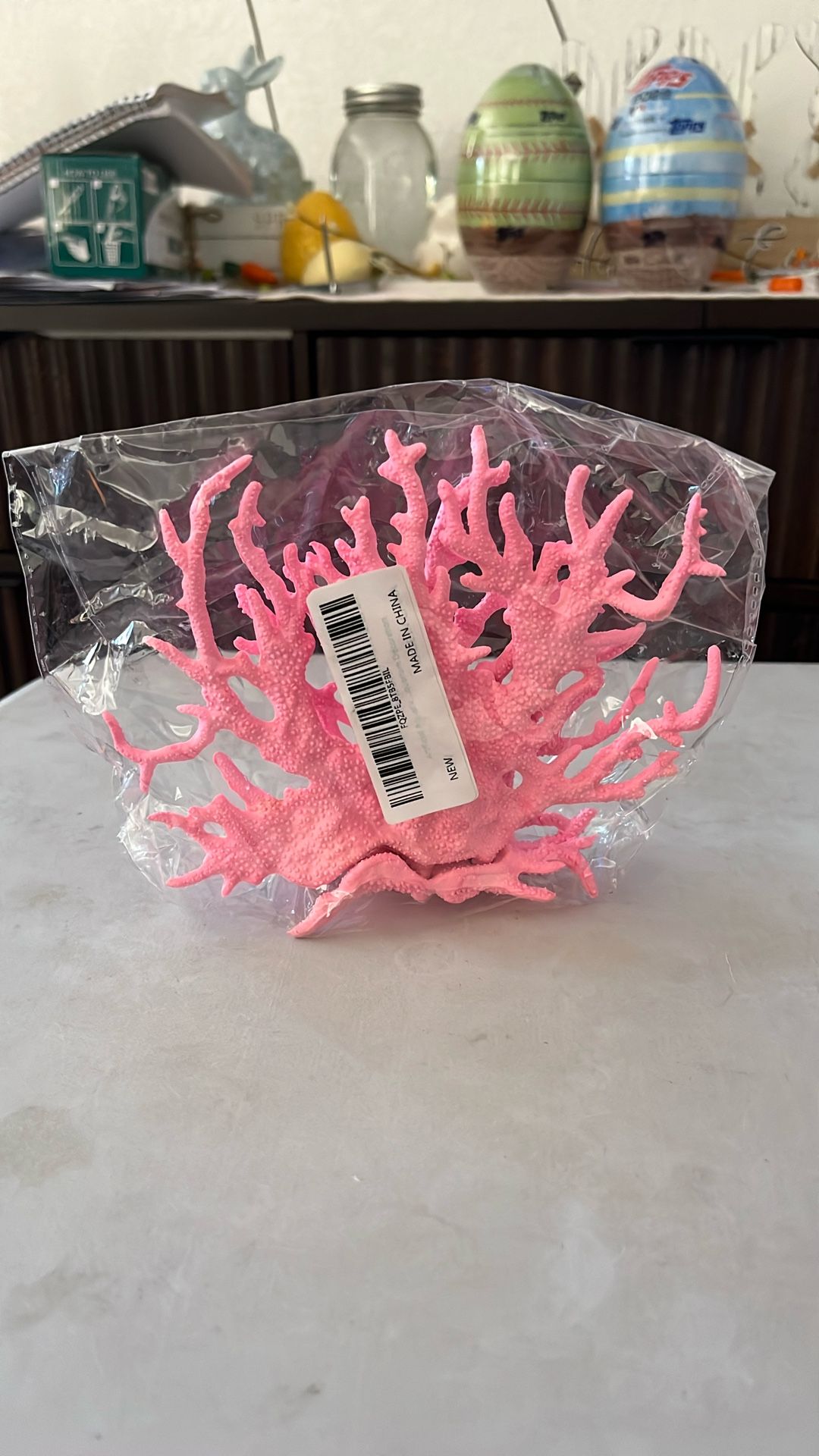 New Corral For Fish Tank