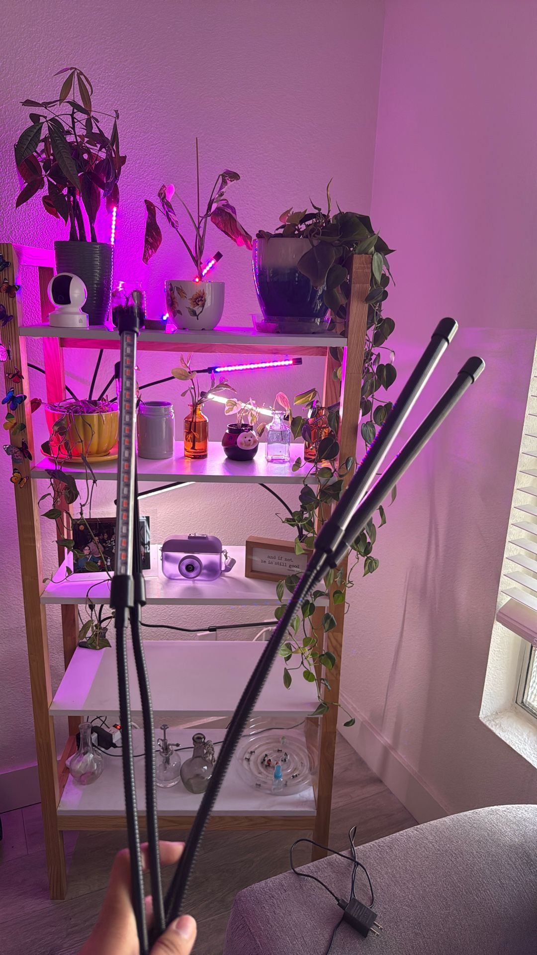 Grow Lights 
