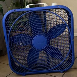 fan
