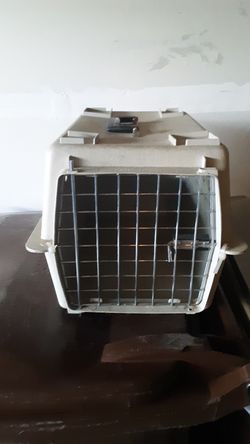 Pet taxi