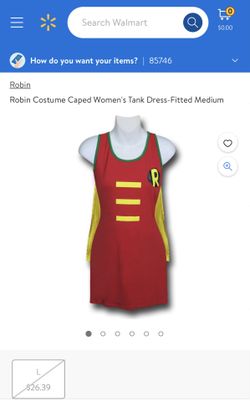Robin Costume