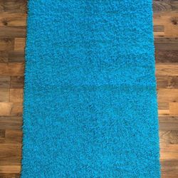 Turquoise Shag Area Rug