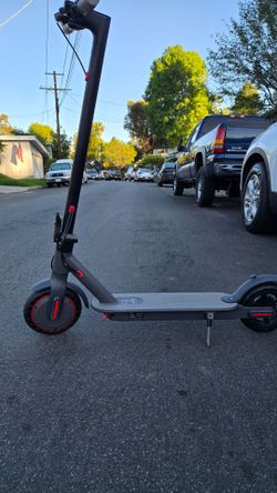 Adult electric scooter