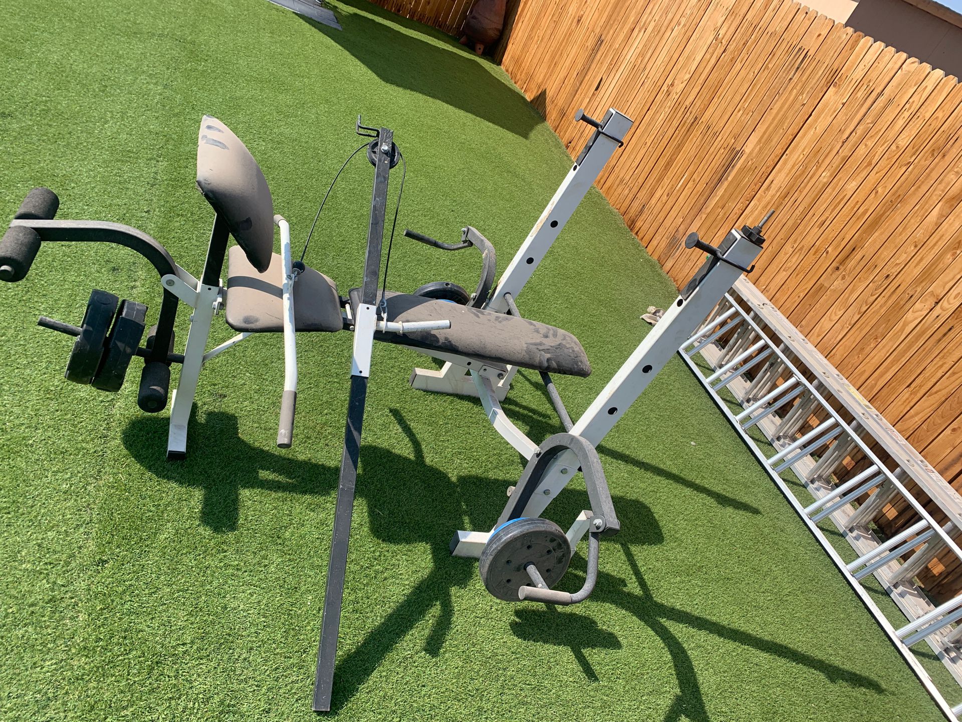 Free weights and bench