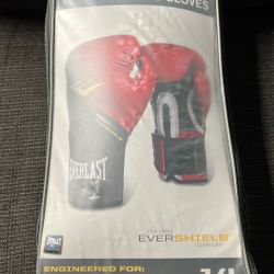 Everlast Pro Style Elite Training Gloves 14oz
